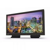 TV Logic LUM-310R 31.1